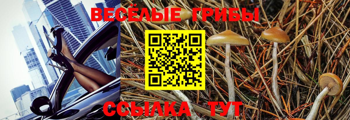 Псилоцибиновые грибы MAGIC MUSHROOMS  Галлюциногенные грибы MAGIC MUSHROOMS  Вход с VPN  Звенигород 